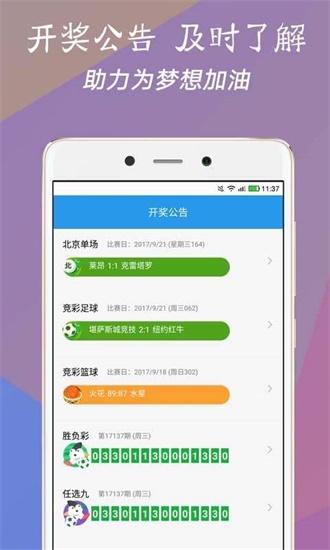 澳門今一必中一肖一碼一肖，揭秘彩票背后的秘密與策略，揭秘彩票背后的秘密與策略，澳門今一必中一肖一碼一肖探秘
