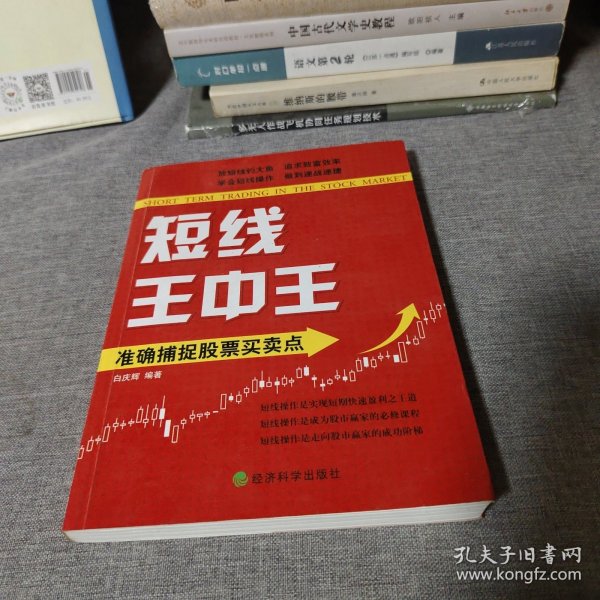 王中王平特一肖中的奧秘與探索，王中王平特一肖的奧秘與探索之旅