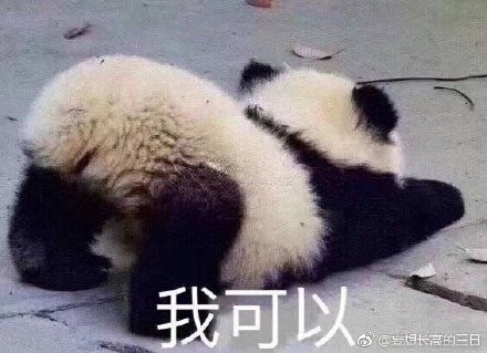 澳門精準四不像最新正版，揭秘與探索，澳門精準四不像揭秘與探索最新正版資訊