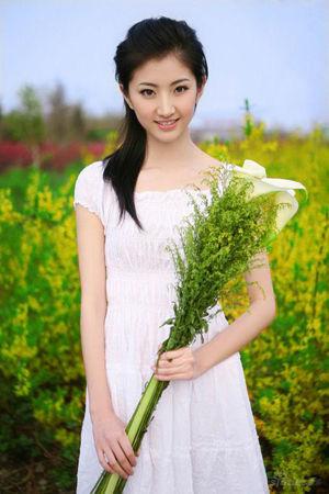 新澳門生肖走勢圖精準版，解讀與SEO策略，新澳門生肖走勢圖精準解讀與SEO策略揭秘