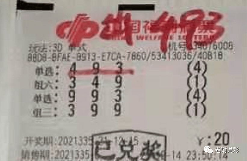 新奧門彩天天開獎資料一網(wǎng)羅萬象，揭秘彩票奧秘，揭秘彩票奧秘，新奧門彩天天開獎資料一網(wǎng)羅萬象