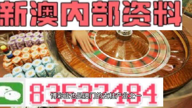 新澳正版資料免費(fèi)提供，全面解析與深度探索，新澳正版資料全面解析與深度探索，免費(fèi)提供的指南