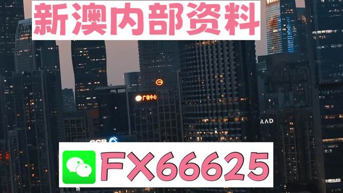 澳門跑狗，探索與解析，澳門跑狗，探索與解析之道