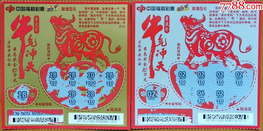 王中王19期指一生肖——探尋背后的奧秘與意義，王中王19期指一生肖，背后的奧秘與意義探尋