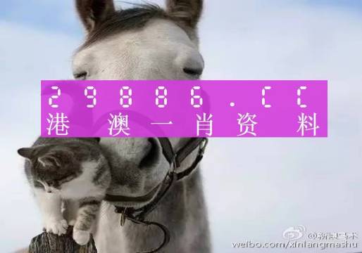 揭秘劉伯溫四肖選一碼的意思——探尋背后的故事與真相，揭秘劉伯溫四肖選一碼背后的真相與故事