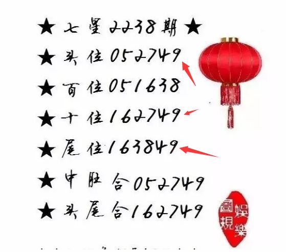 王中王一肖尾數(shù)資料，深度解析與探索，王中王一肖尾數(shù)資料深度解析與探索之旅