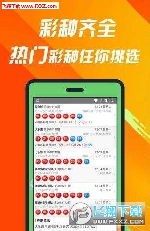 揭秘660678C0m王中王三肖一碼，真相與奧秘，揭秘，王中王三肖一碼真相與奧秘探索