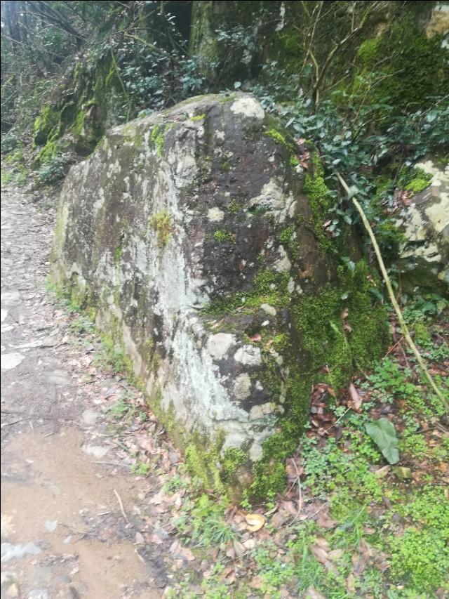 揭秘四不像劉伯溫一肖圖——探尋背后的神秘故事與SEO奧秘，揭秘四不像劉伯溫一肖圖背后的神秘故事與SEO奧秘探索
