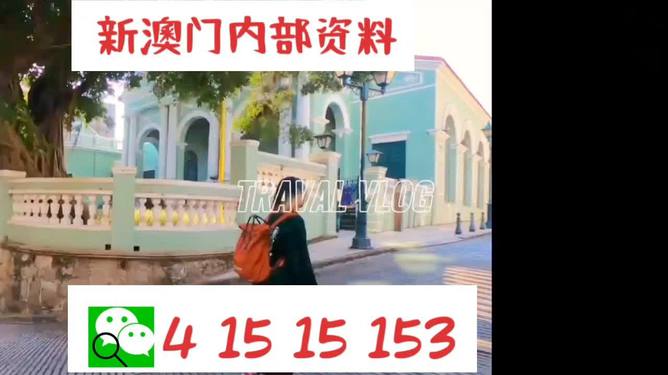 澳門(mén)944資料詳解，探索其背后的故事與重要性，澳門(mén)944資料深度解析，背后的故事與重要性探索