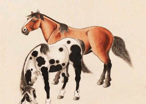馬一王中王特平一肖圖，深度解析與SEO優(yōu)化策略，深度解析馬一王中王特平肖圖，SEO優(yōu)化策略探討