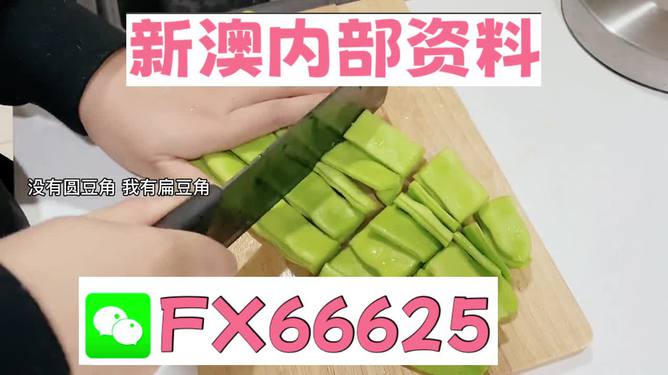 新澳精選資料免費提供，探索優(yōu)質(zhì)資源的海洋，新澳精選資料免費探索，優(yōu)質(zhì)資源海洋的開啟