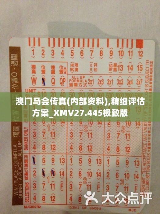 馬會(huì)傳真正版，探索正版馬會(huì)文化的魅力與價(jià)值，正版馬會(huì)文化的魅力與價(jià)值探索