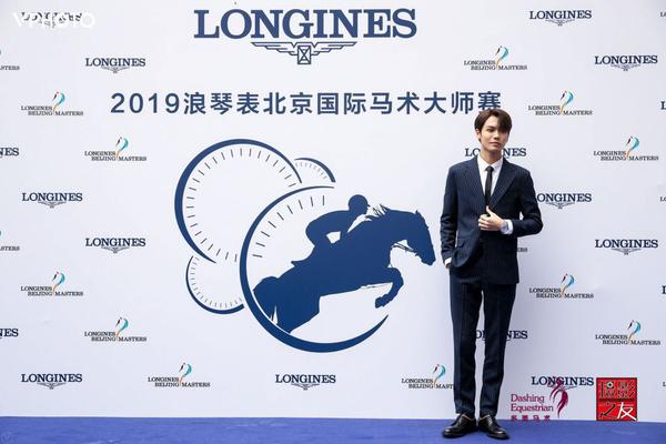 王中王一肖精準，深度解析與策略探討，王中王一肖精準解析與策略深度探討