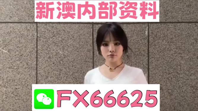 澳門正版資料大全完整版，探索與揭秘2025年澳門正版資料的世界，澳門正版資料大全揭秘，探索未來至2025年的奧秘世界