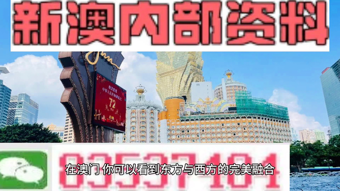新澳新澳門正版資料，探索與解析，新澳新澳門正版資料深度解析與探索