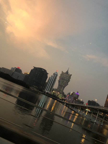 澳門今晚必開一肖一特，深度解析與預(yù)測，澳門今晚生肖特碼深度解析與預(yù)測，一肖一特必開趨勢探討