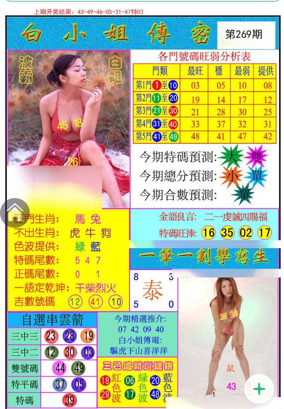 揭秘白小姐與王中王平持一肖的神秘面紗，白小姐與王中王，揭秘神秘生肖預(yù)測(cè)面紗