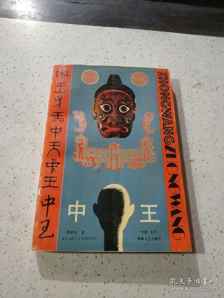 王中王資料與肖中特，深度解析，王中王資料與肖中特深度剖析