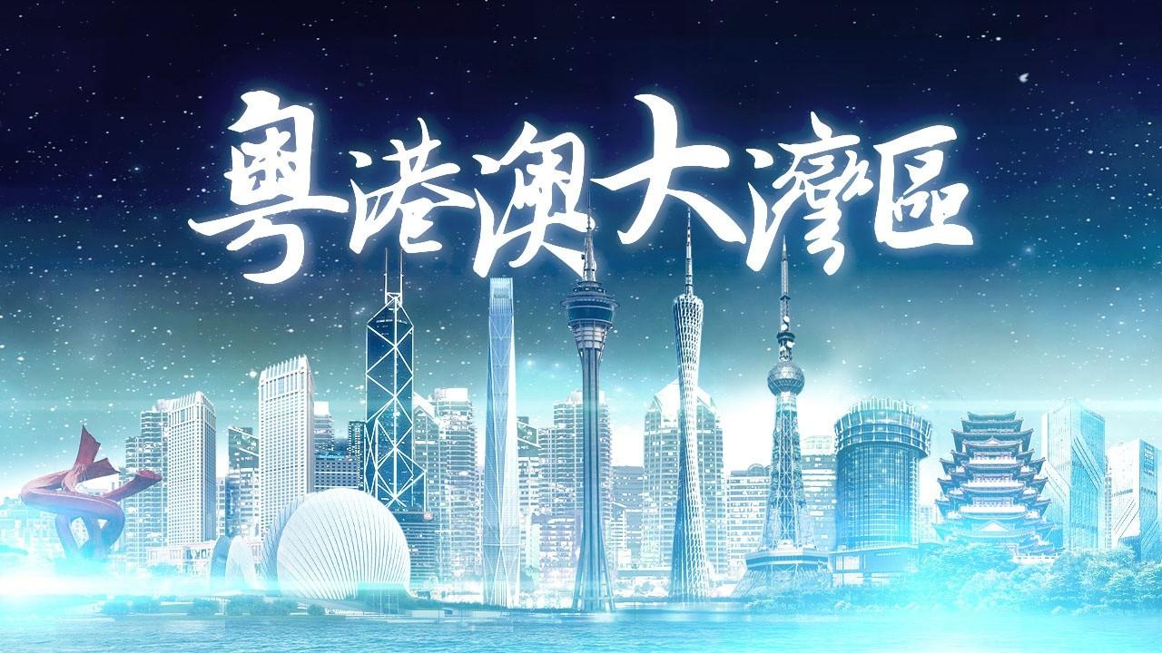 2025年香港正版免費(fèi)資料全面解析，香港正版免費(fèi)資料全面解析（2025版）