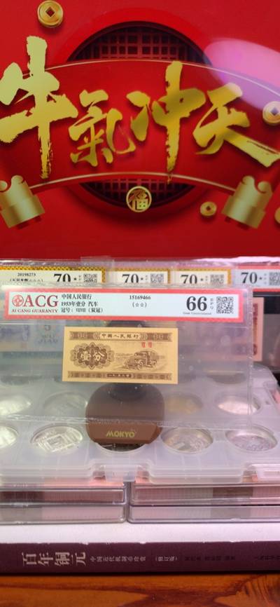 王中王廣東一肖，探尋背后的故事與奧秘，王中王廣東一肖，背后的故事與奧秘探尋