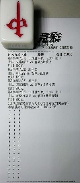 揭秘買一肖中獎的賠率與風險，你真的準備好了嗎？，揭秘買一肖中獎背后的賠率與風險，你真的做好準備了嗎？