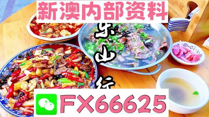 新澳全年免費(fèi)資料大全——探索與學(xué)習(xí)的不竭源泉，新澳全年免費(fèi)資料大全，無盡的學(xué)習(xí)資源寶庫