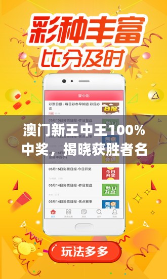 王中王藏寶閣猜一肖，揭秘背后的秘密與SEO策略，王中王藏寶閣猜一肖背后的秘密與SEO策略揭秘