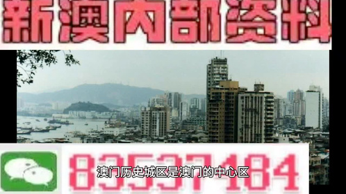 澳門全年最全免費資料大全，探索無盡的資源寶庫，澳門全年免費資料寶庫，探索無盡資源之旅