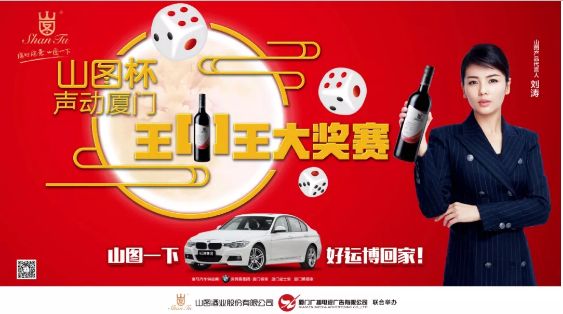 揭秘王中王背后的故事，從肖中的視角看其在SEO領域的輝煌成就，肖中視角下的王中王，SEO領域的輝煌成就揭秘
