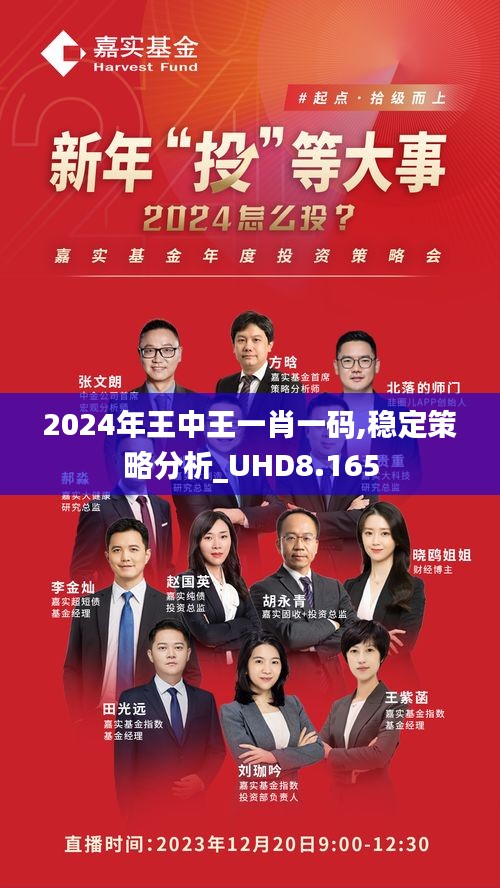 王中王一馬中一肖一馬，探尋背后的故事與奧秘，探尋王中王一馬中一肖一馬背后的故事與奧秘
