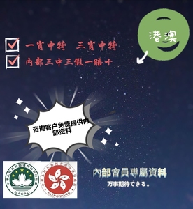揭秘香港王中王，探尋肖中特背后的秘密，揭秘香港王中王背后的秘密與肖中特真相探索