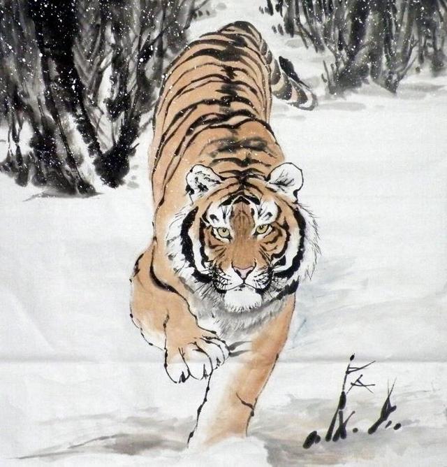 猛虎下山王中王，揭秘一生肖的神秘魅力，揭秘生肖之王——猛虎下山之神秘魅力