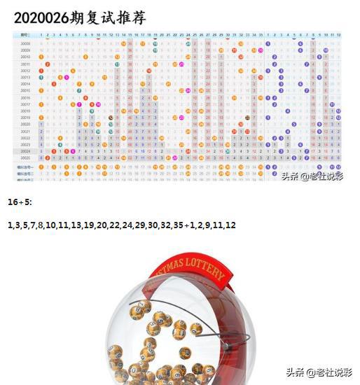 王中王026期指一生肖，深度解讀與SEO優(yōu)化策略，王中王026期生肖深度解讀與SEO優(yōu)化策略全解析