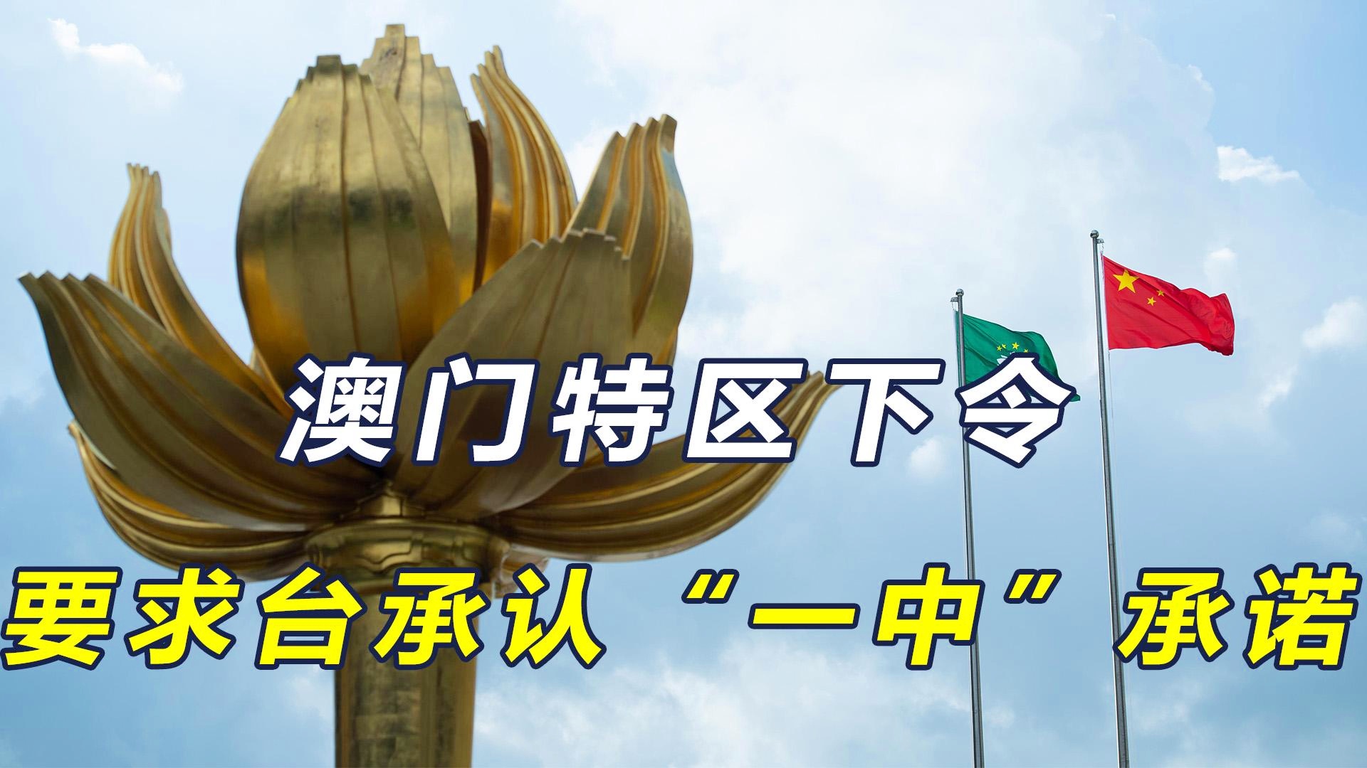 澳門一碼一肖一特一中今晚預(yù)測與探索，澳門今晚一碼一肖一特一中預(yù)測與揭秘