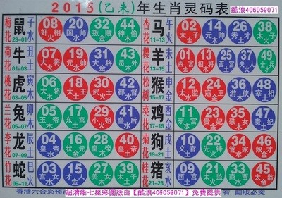 揭秘2025十二生肖與數(shù)字彩票的神奇聯(lián)系——49碼表全解析，揭秘十二生肖與數(shù)字彩票的神秘聯(lián)系，2025年49碼表深度解析