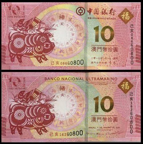 澳門天天彩期期精準十二生肖預測——揭秘彩票背后的秘密，澳門天天彩期期精準十二生肖預測，彩票背后的秘密大揭秘
