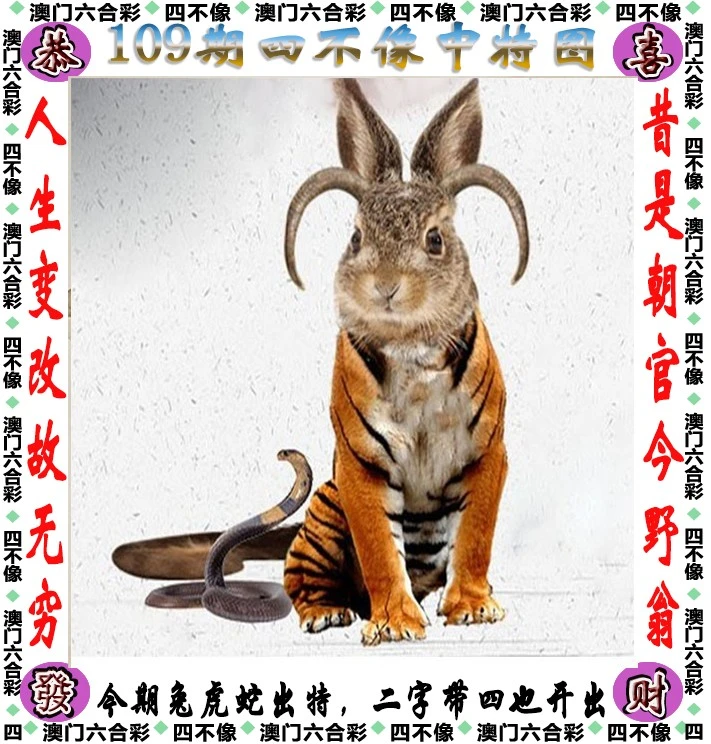 四不像王中王資料一肖，深度解析與探索，四不像王中王資料一肖，深度解析與探索揭秘