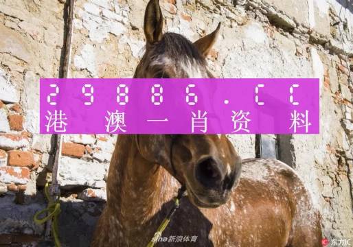 王中王資料一門肖中，深度解析與探索，王中王資料一門肖詳解，深度解析與探索