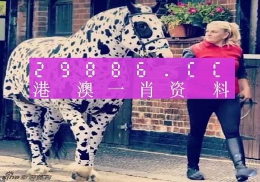 澳門王中王，一肖一特一中深度解析（180期精彩回顧），澳門王中王，深度解析第180期精彩回顧，生肖與特碼揭秘