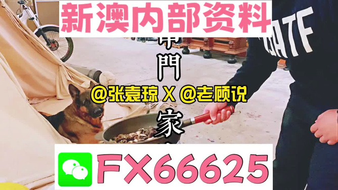 新澳門精準(zhǔn)資料大全，管家婆料解析與探索，澳門精準(zhǔn)資料大全，管家婆料解析與深度探索
