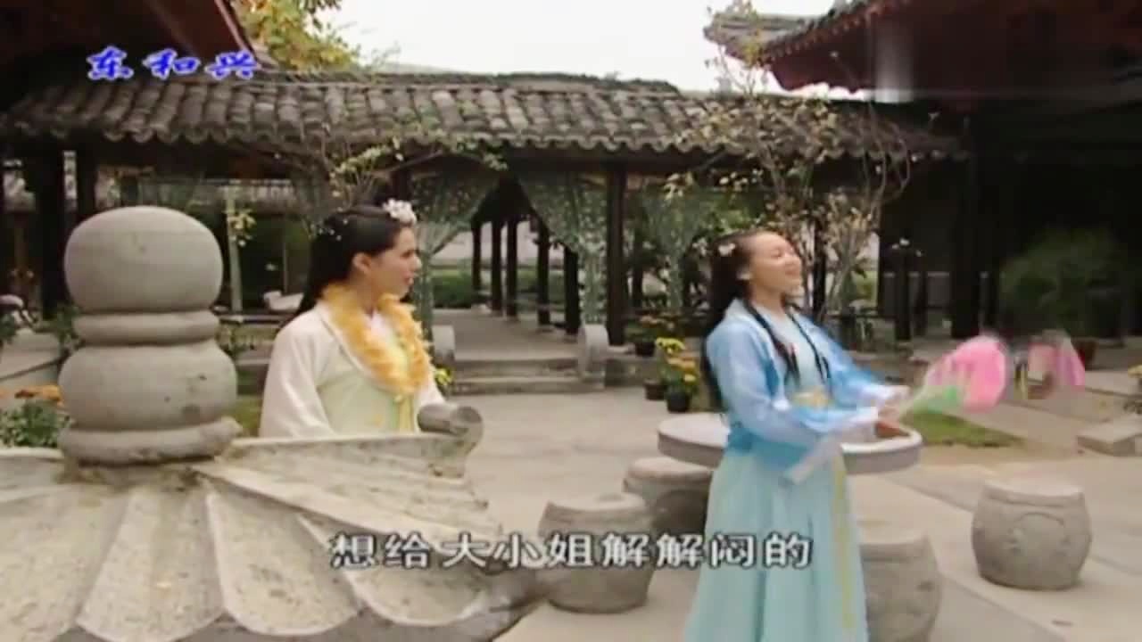 劉伯溫白小姐一肖期期準(zhǔn)，神秘預(yù)測(cè)背后的真相，劉伯溫白小姐生肖預(yù)測(cè)揭秘，神秘預(yù)測(cè)背后的真相