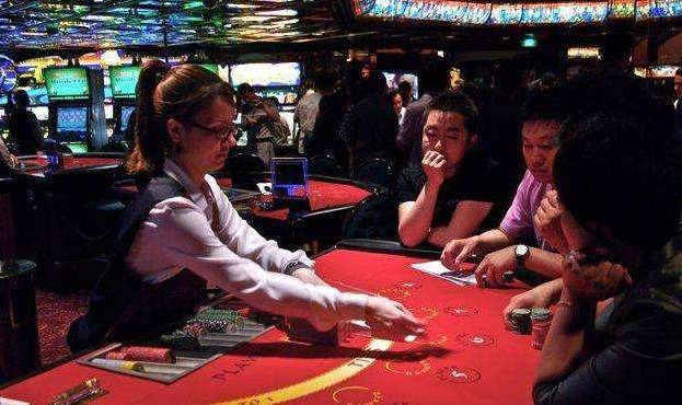 澳門金牛王中王一肖，探索背后的神秘與魅力，澳門金牛王中王一肖，神秘魅力背后的探索