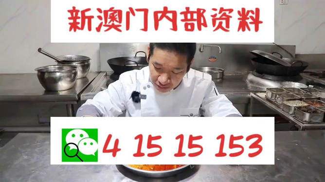 管家婆一肖資料大全，深度解析與探索，管家婆一肖資料深度解析與探索大全