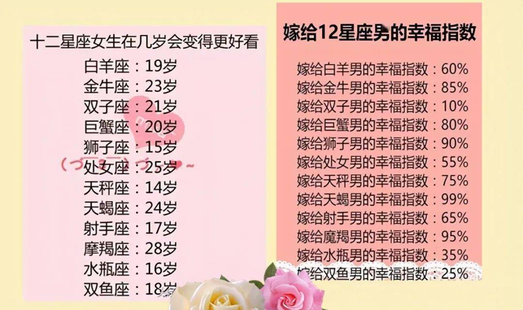 王中王十二生肖所屬之肖解析，王中王十二生肖解析揭秘