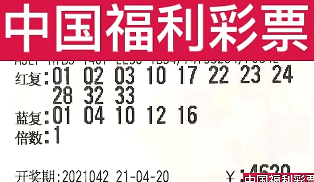 新奧門今晚開獎結(jié)果查詢第243期，全面解析與預(yù)測，新奧門第243期開獎結(jié)果解析與預(yù)測，今晚開獎揭秘
