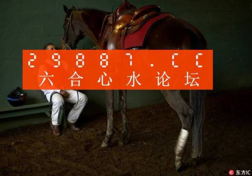 一肖一馬王中王一馬中特，深度解析與SEO優(yōu)化策略，一肖一馬王中王深度解析與SEO優(yōu)化策略探討