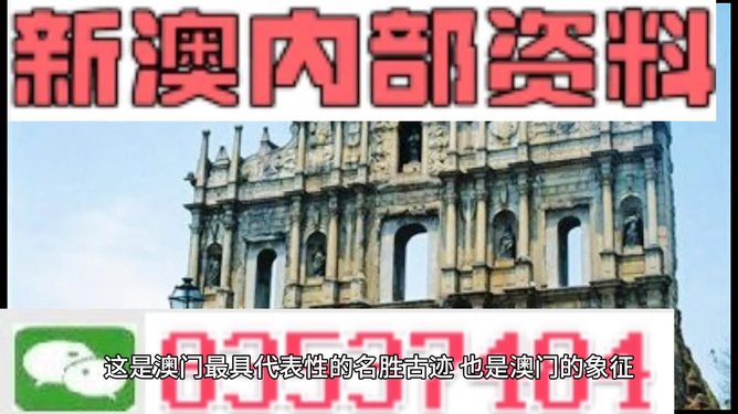 新澳門正版資料，探索與解析，澳門正版資料深度解析與探索