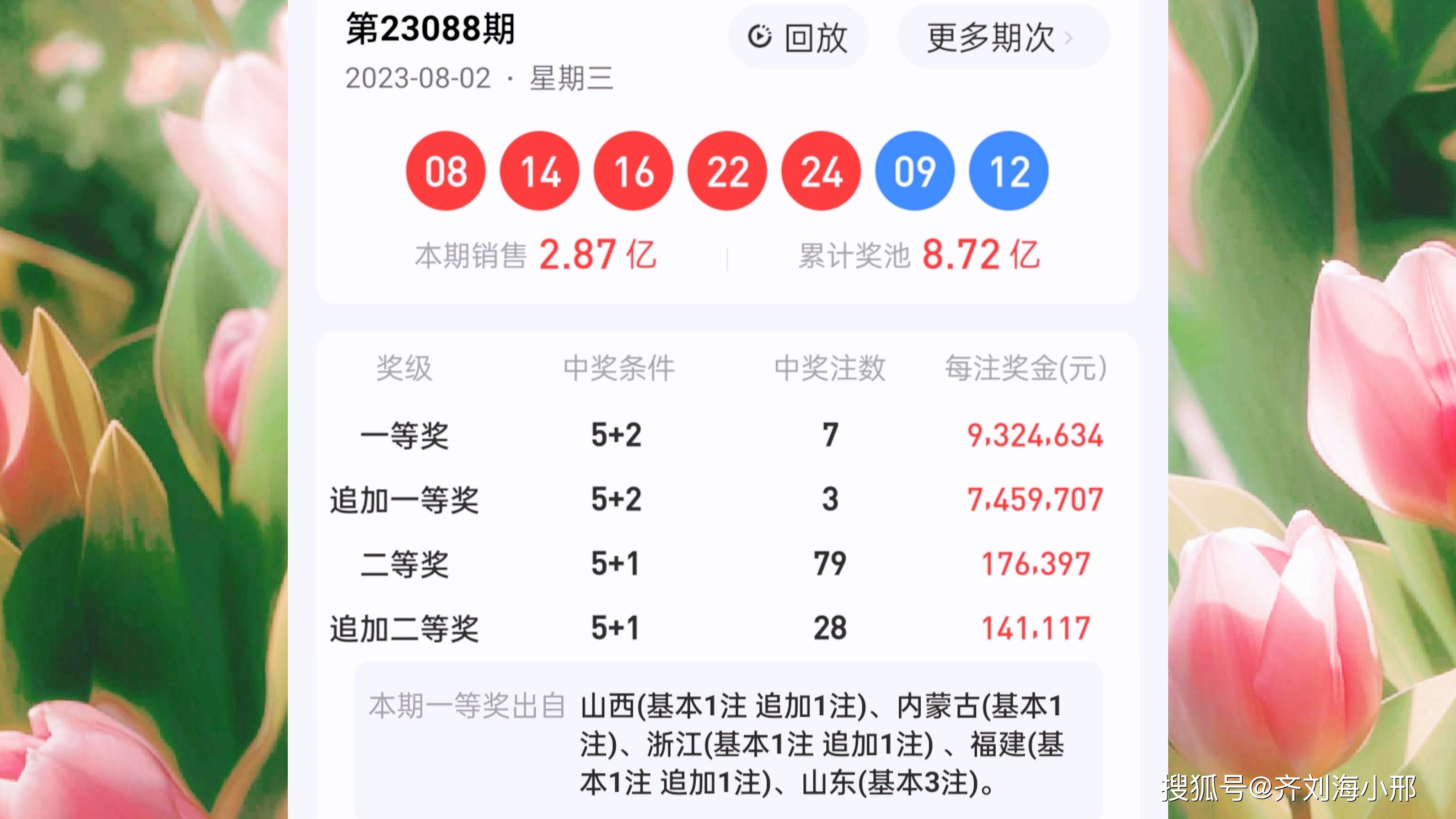 最新開獎結(jié)果揭曉，王中王與一肖中的幸運時刻，王中王與一肖中幸運時刻揭曉，最新開獎結(jié)果出爐
