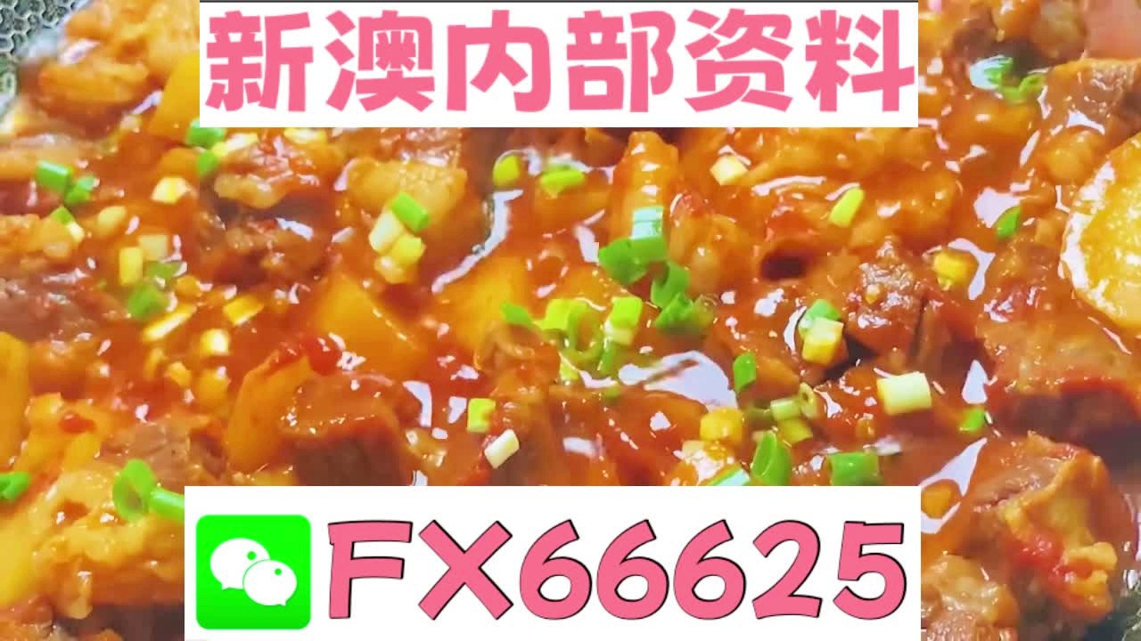 新奧天天免費資料大全——探索與優(yōu)化的SEO之旅，新奧天天免費資料大全，SEO探索與優(yōu)化之旅