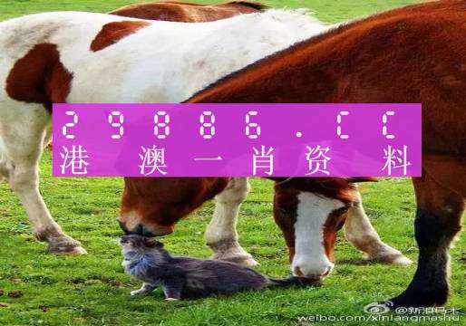 新奧門一肖一碼，揭秘精準預(yù)測的秘密，揭秘新澳門一肖一碼精準預(yù)測的秘密